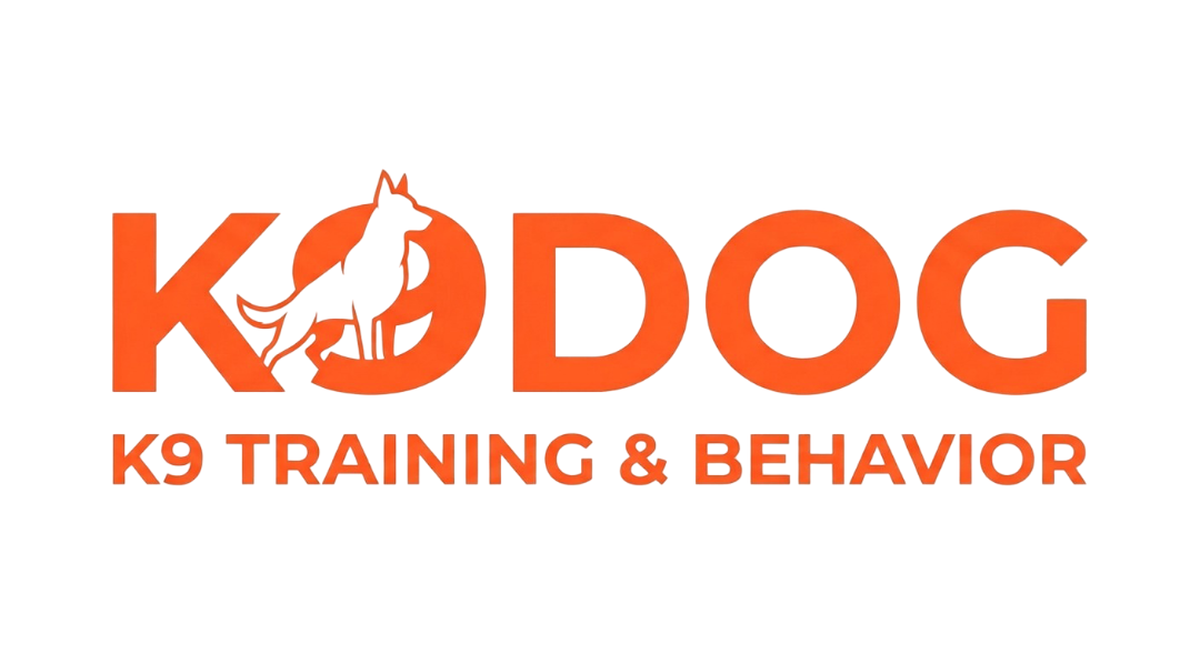 k9dog — Professional K9 Training Los Angeles